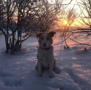 Meet your Posher, Kalie